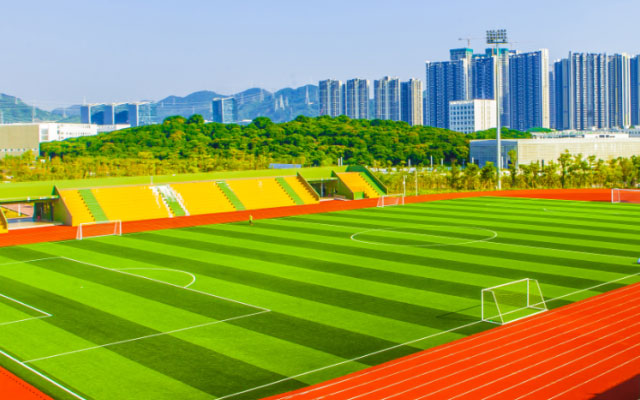 毕业季，重温在深大的那份炙热 | 毕业图鉴之运动系列